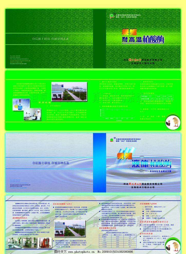 【设计攻略】植酸梅产品册子与广告设计全解析